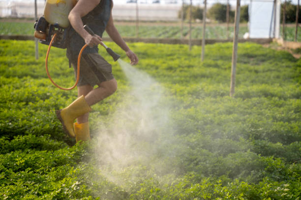Best Wasp Removal Services  in Crestview Hills, KY