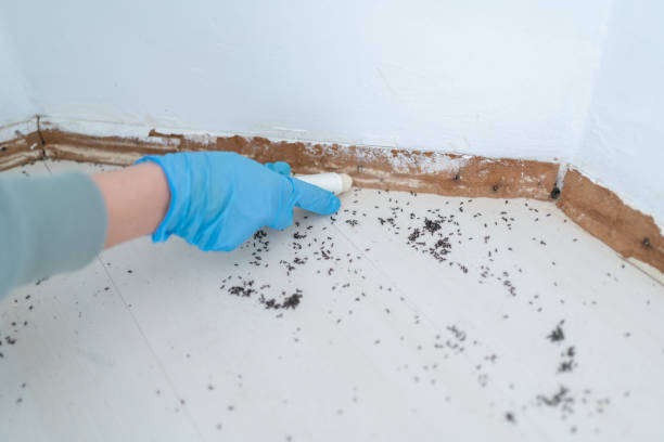 Best Pest Prevention Services  in Crestview Hills, KY