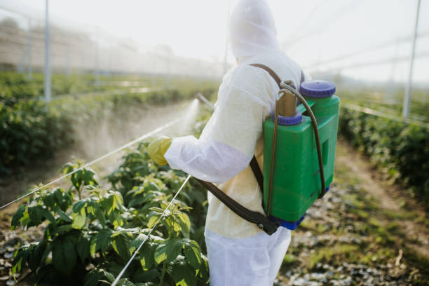 Best Best Pest Control Companies  in Crestview Hills, KY